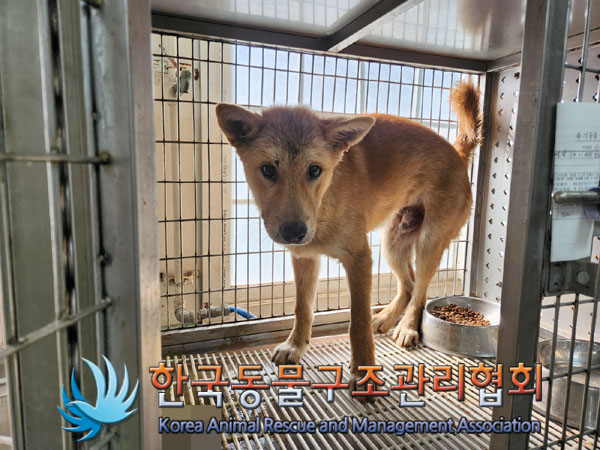 한국동물구조관리협회_441406202301223