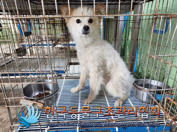 한국동물구조관리협회_441406202301227