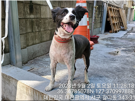 종료(반환) 보더 …