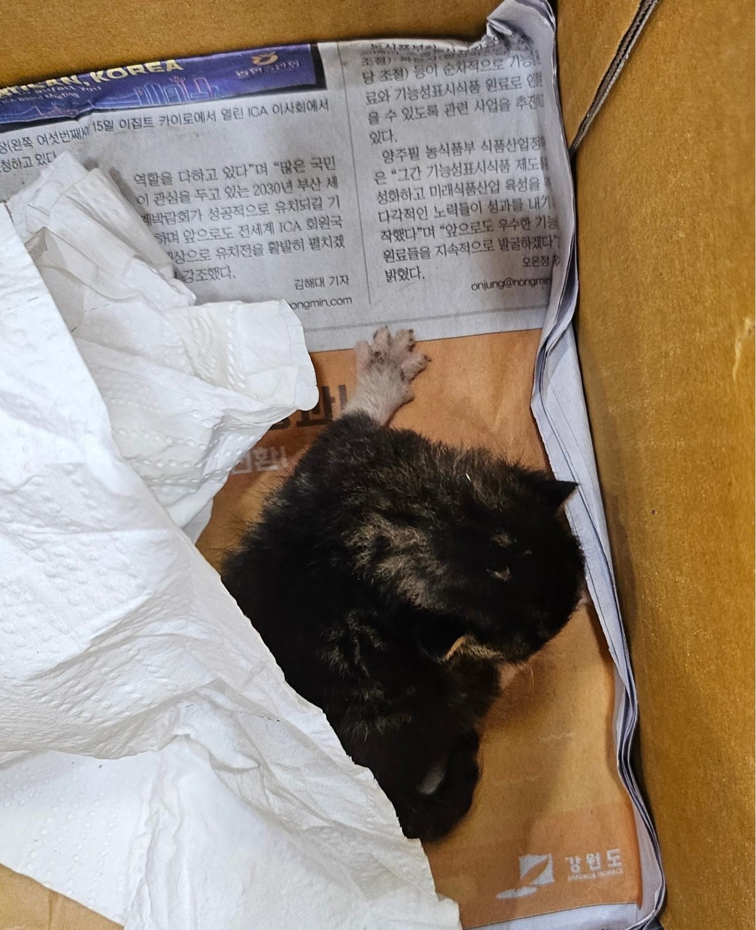 종료(자연사) 한국…