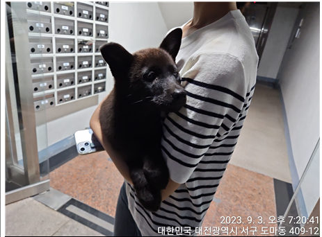 대전동물보호센터_430366202300520