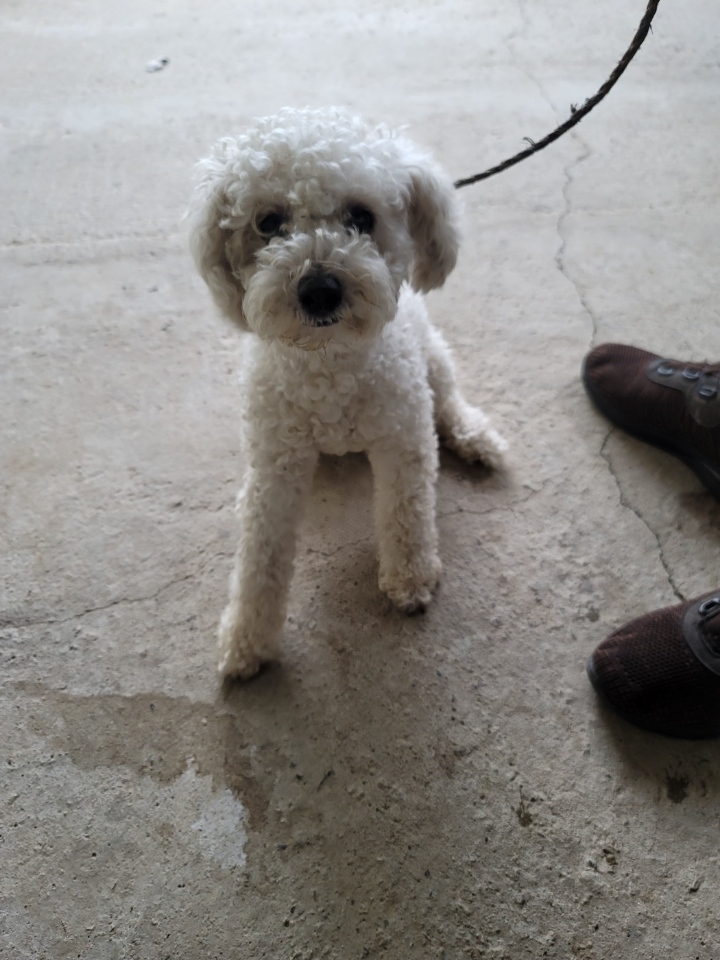 괴산증평동물보호센터_443446202300323