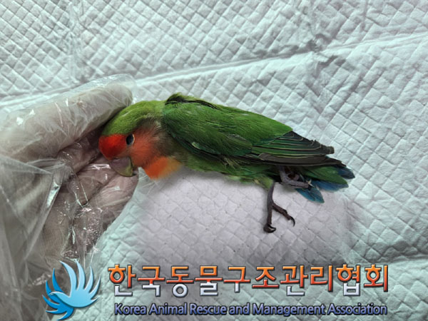 한국동물구조관리협회_441398202300341