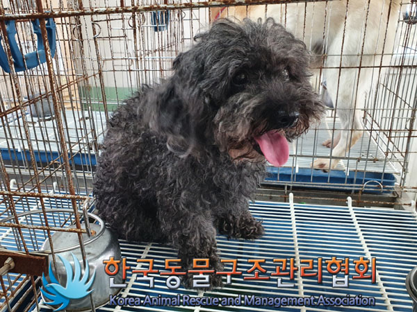 한국동물구조관리협회_411323202300773