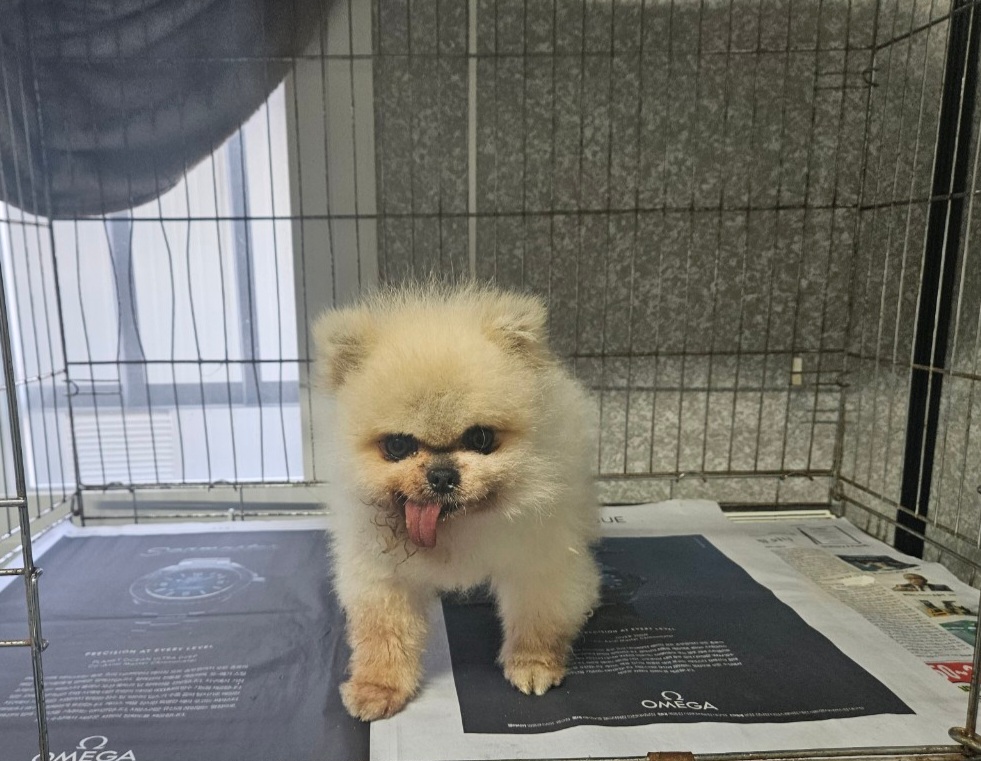창원유기동물보호소_448567202301071