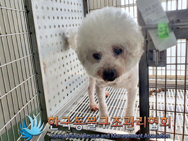 한국동물구조관리협회_411322202300554