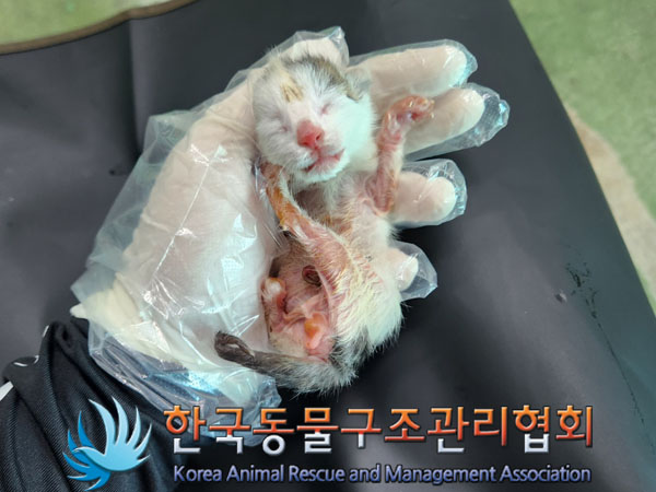 종료(자연사) 한국…