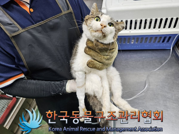 한국동물구조관리협회_441406202301234