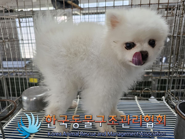한국동물구조관리협회_441560202301036