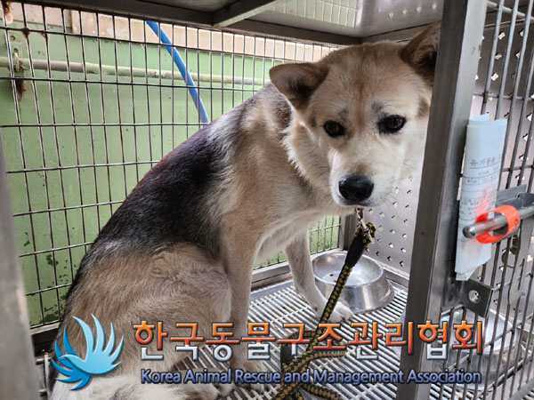 한국동물구조관리협회_411316202300610