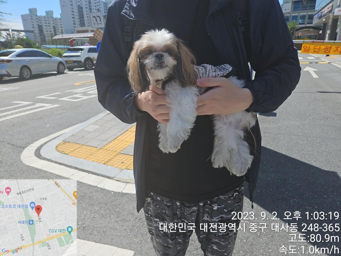 대전동물보호센터_430365202300386