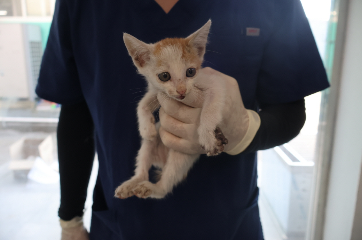 제주 동물보호센터_450650202303116
