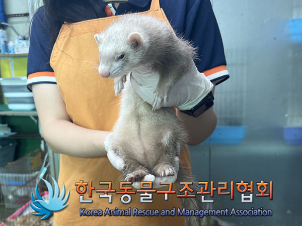 한국동물구조관리협회_411301202300429
