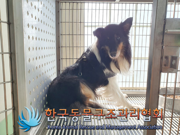 종료(반환) 셔틀랜…