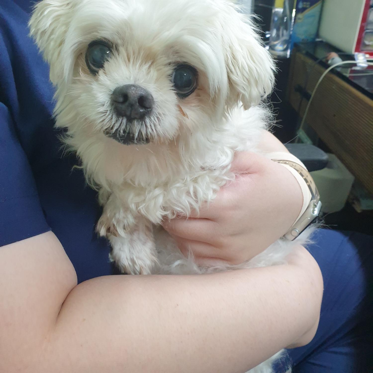 남양동물보호센터_441553202302481