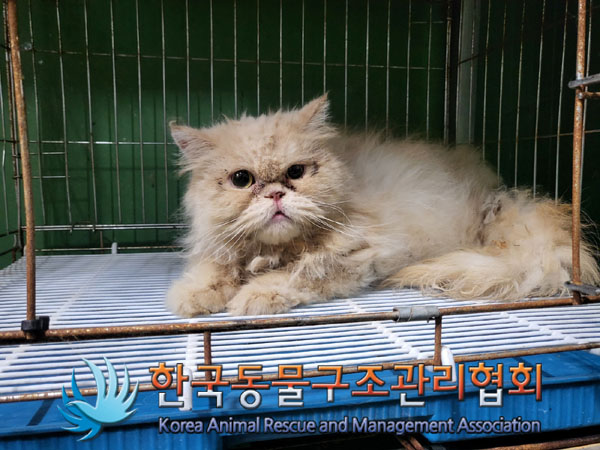 한국동물구조관리협회_411300202300355