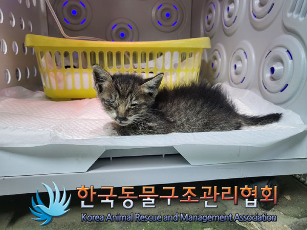 한국동물구조관리협회_411323202300777