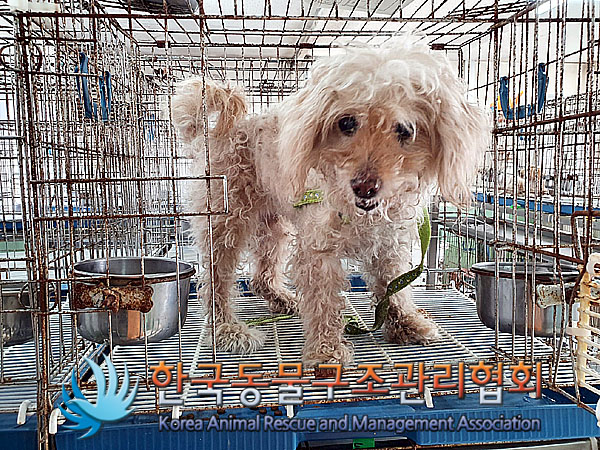 한국동물구조관리협회_411305202300445