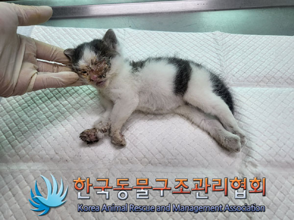 종료(자연사) 한국…