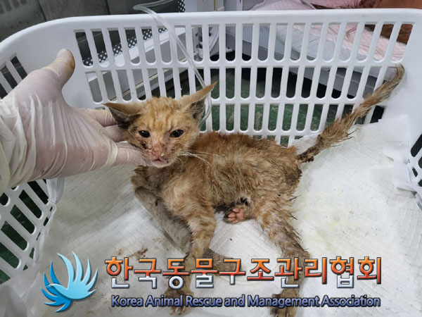 종료(자연사) 한국…