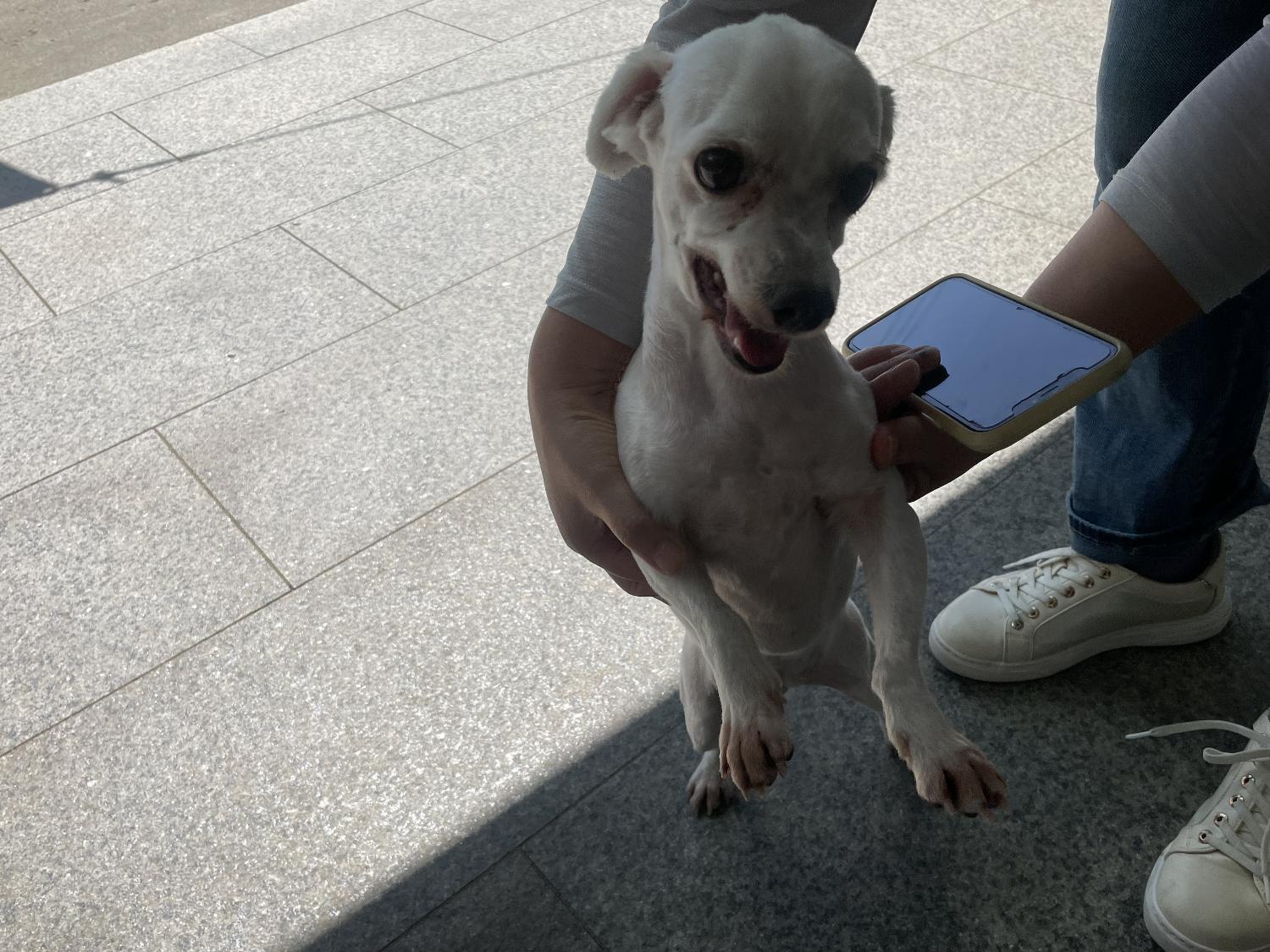 광주 동물보호소_429360202300713