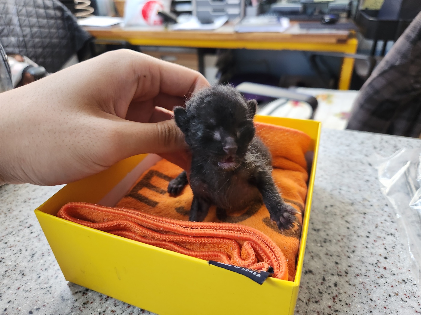 광주 동물보호소_429360202300715