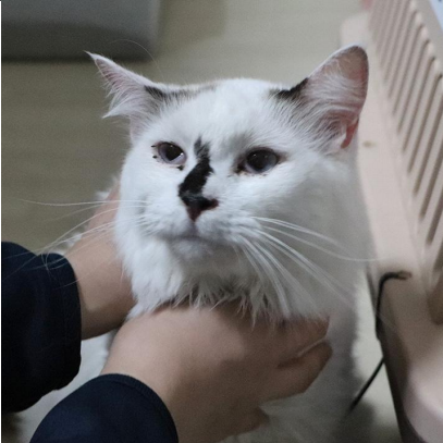 동물자유연대_411313202300627
