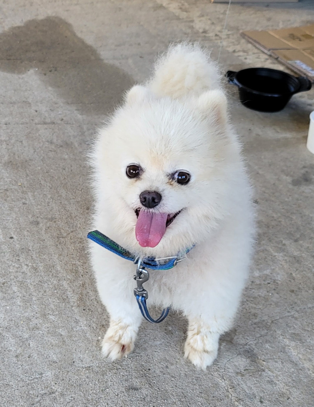 종합축산_447512202300582