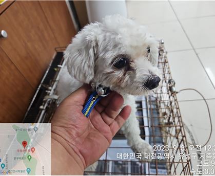 대전동물보호센터_430367202300553