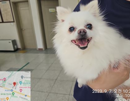 대전동물보호센터_430367202300550