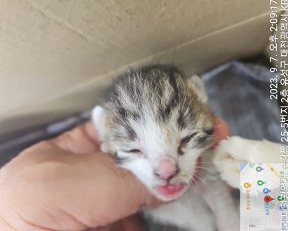 종료(자연사) 한국…