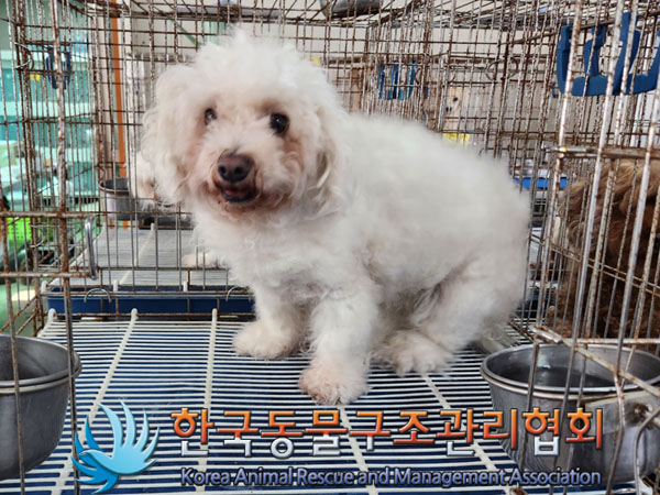 한국동물구조관리협회_411312202300541