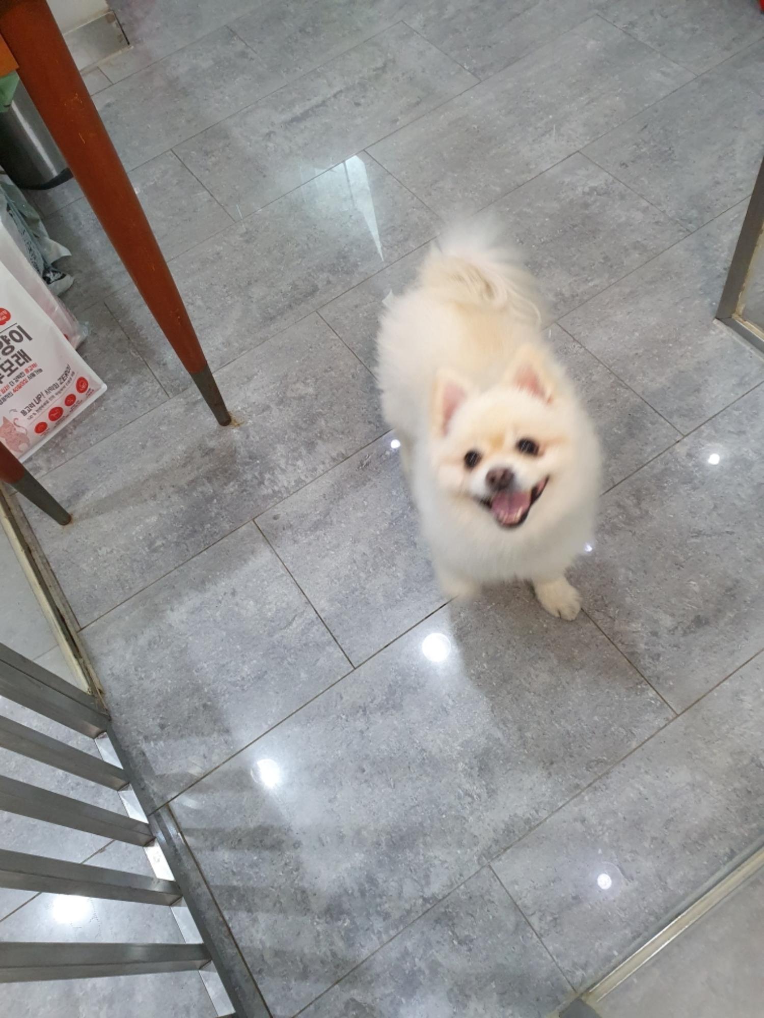 펫앤쉘터동물병원_441378202301493