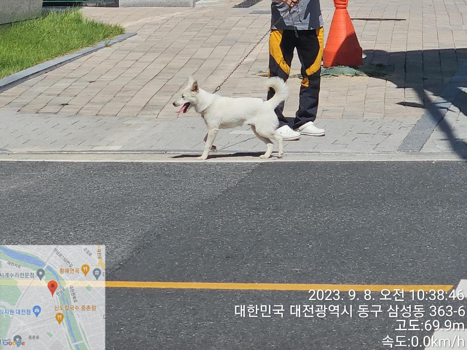 대전동물보호센터_430365202300395