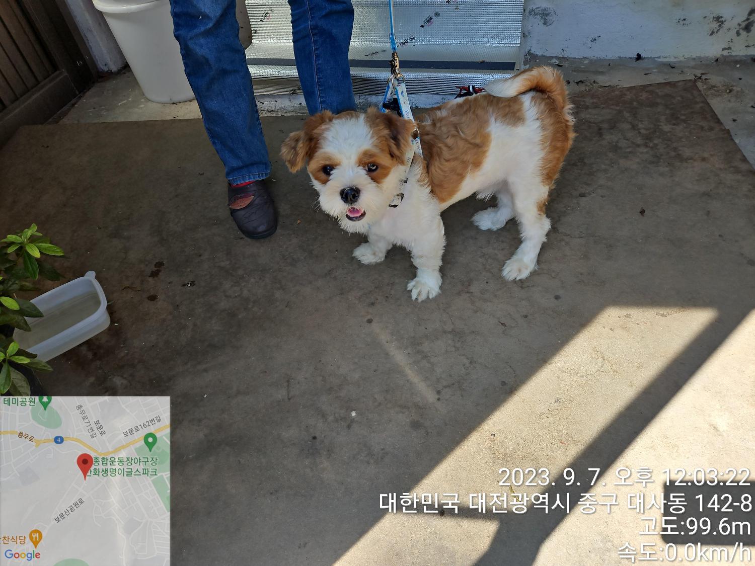 대전동물보호센터_430365202300393