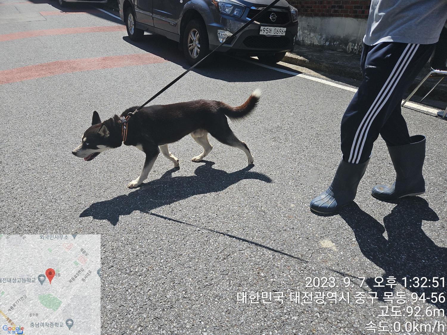 대전동물보호센터_430365202300394