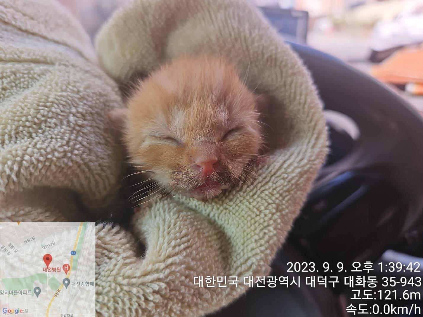 종료(자연사) 한국…