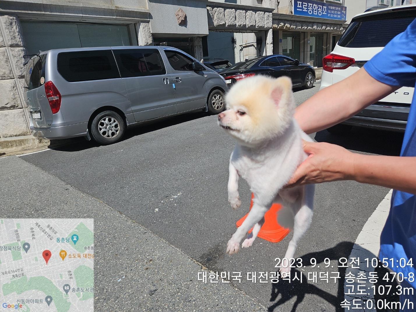 대전동물보호센터_430368202300426