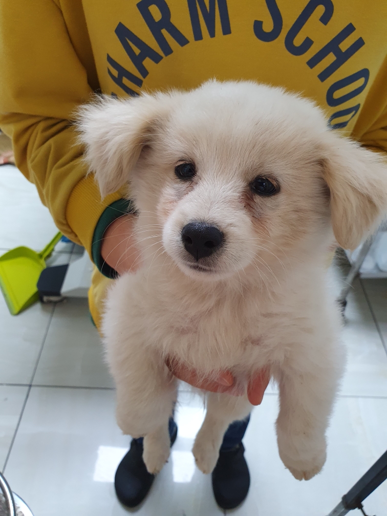 최종주동물병원_443444202300466
