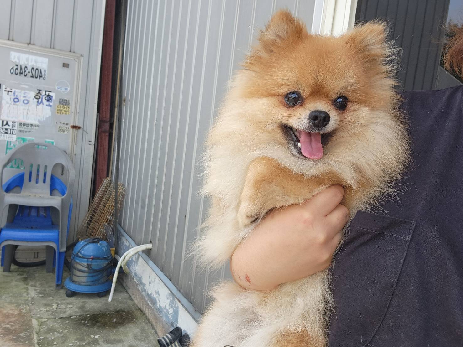 한국야생동물보호협회_441393202301691