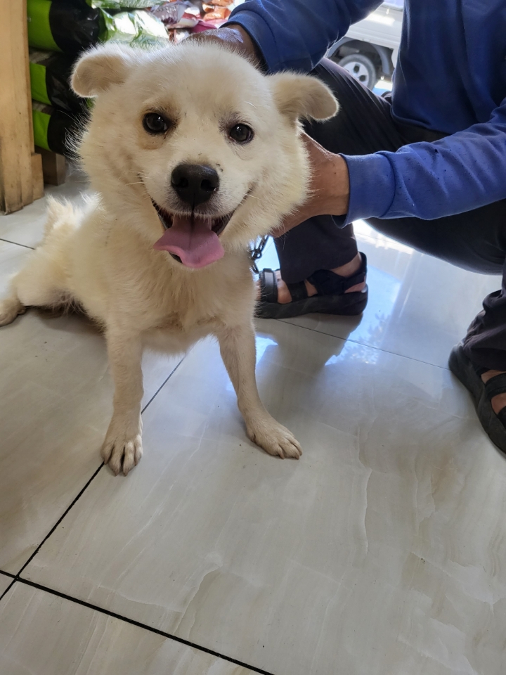 최종주동물병원_443444202300467