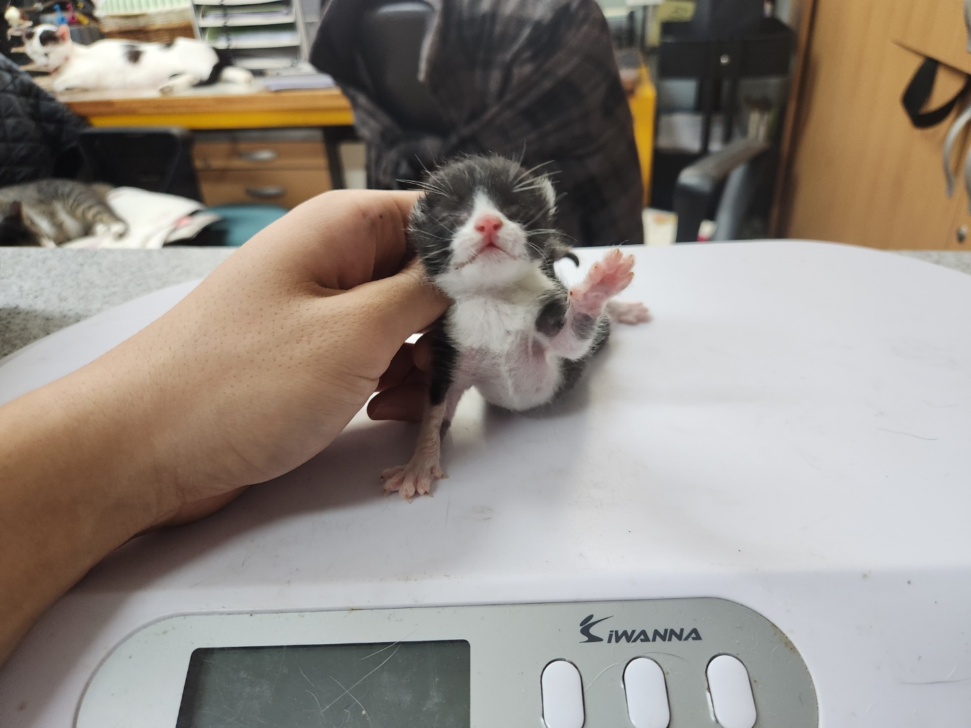 광주 동물보호소_429360202300719