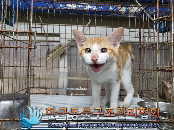 한국동물구조관리협회_411300202300360