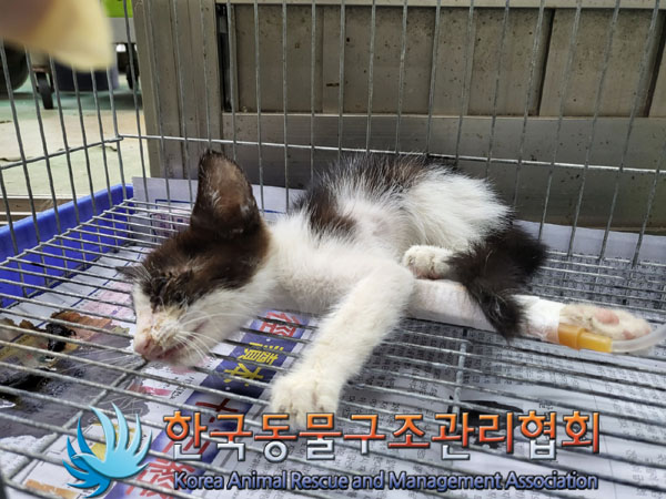 종료(자연사) 한국…