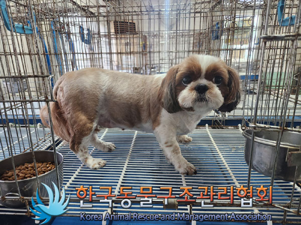 한국동물구조관리협회_411306202300594