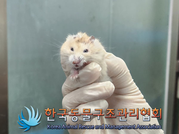 한국동물구조관리협회_411322202300583