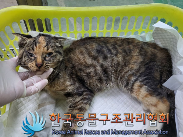 종료(자연사) 한국…