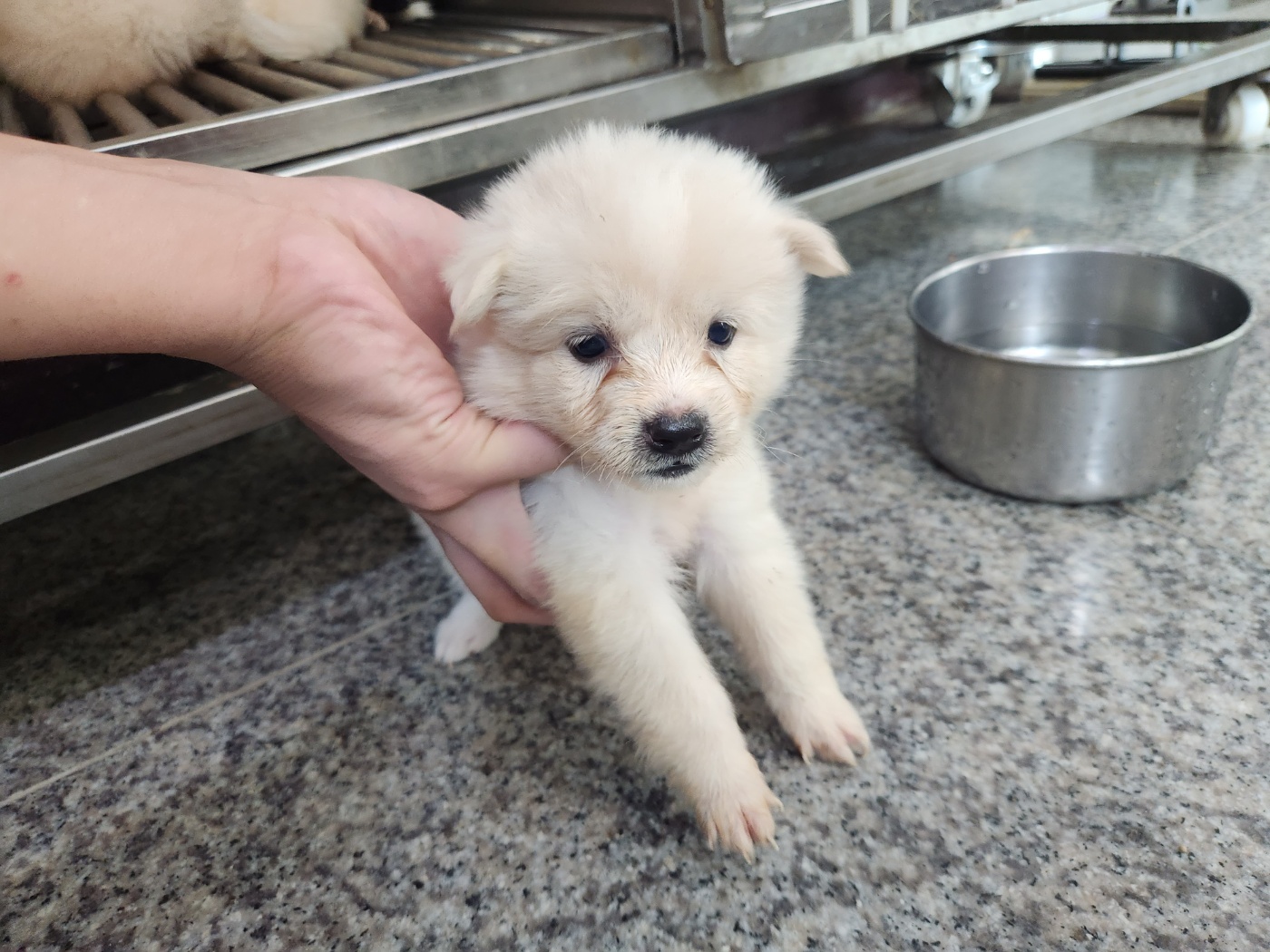 광주 동물보호소_429363202300887