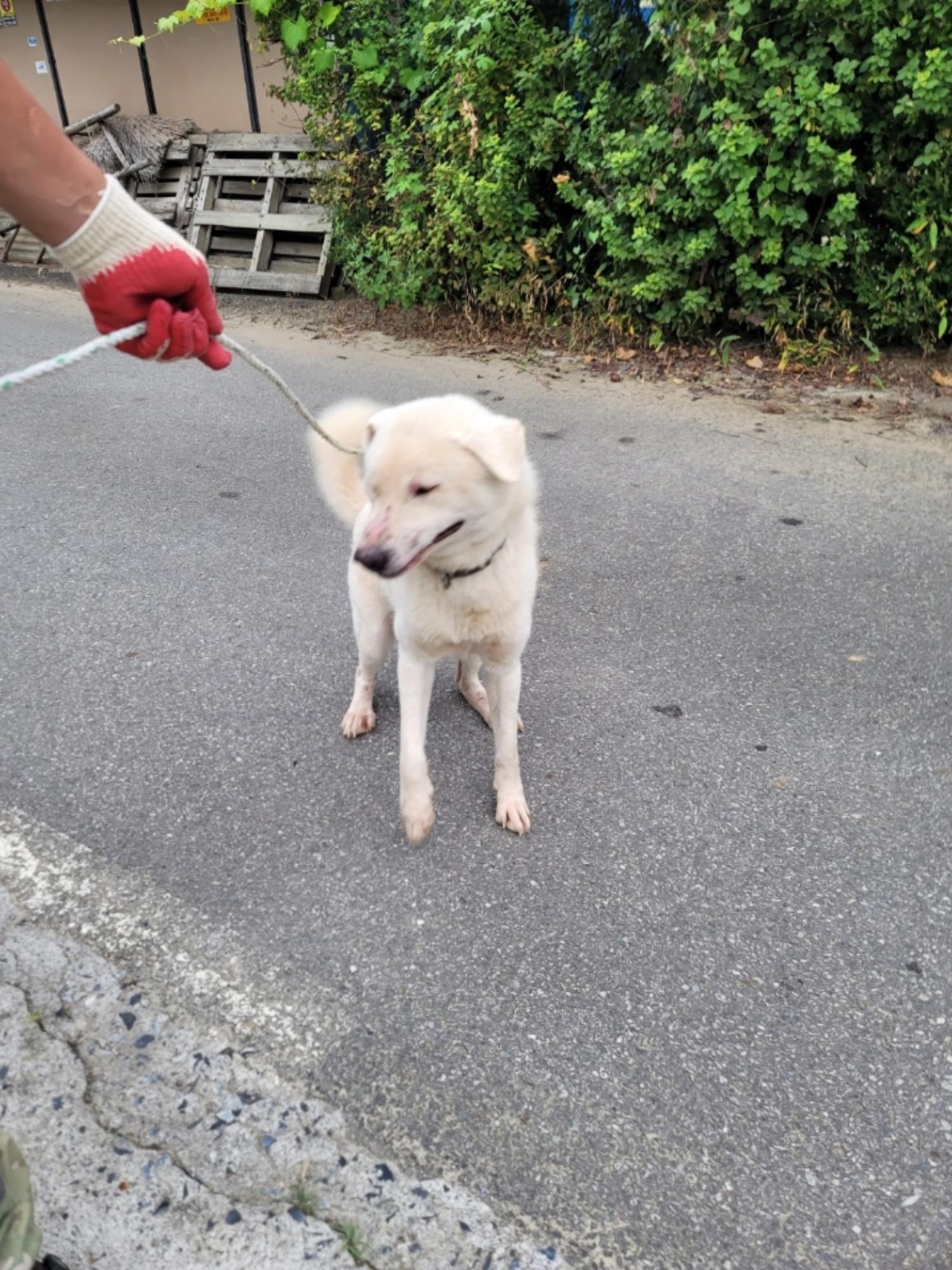 괴산증평동물보호센터_443446202300324