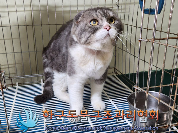 한국동물구조관리협회_411300202300361